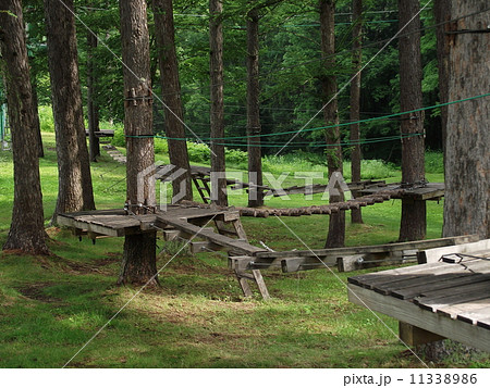 林間のアスレチック遊具が子供を待っています 11338986