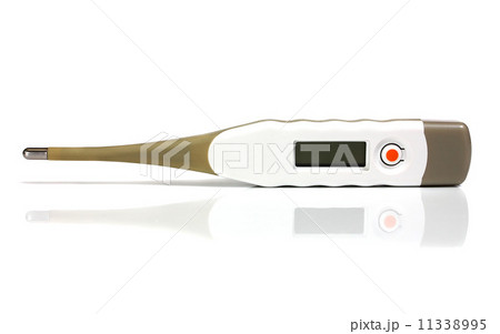 electronic thermometer 11338995