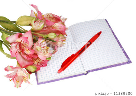 notebook with a pen and flowers 11339200