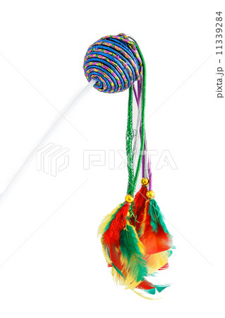Feathered pole cat toy 11339284