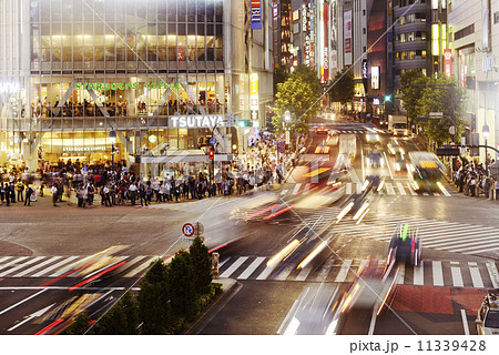 夜のスクランブル交差点 11339428