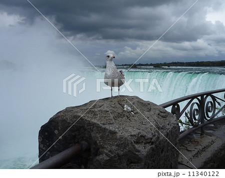 ナイアガラの滝 11340122