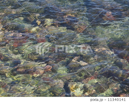 透き通る海 11340141