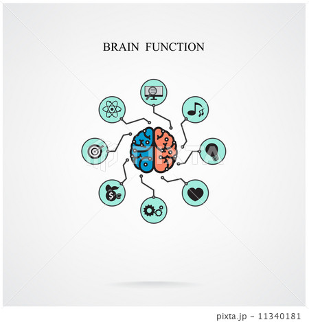 Concept of brain function for education and science, business si Concept of brain function for education and science, business si 11340181