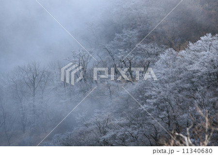 雪 11340680