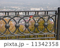 love lock 11342358