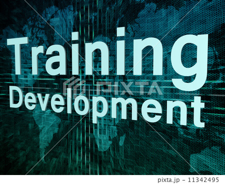 Training Development 11342495