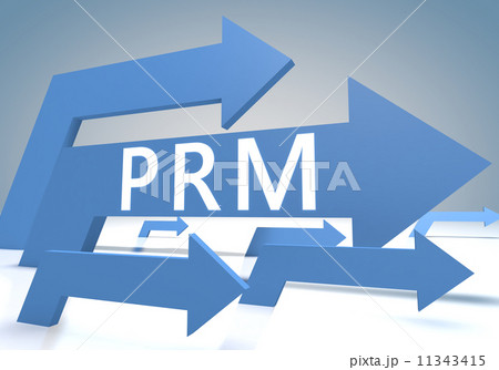 Parnter Relationship Management 11343415