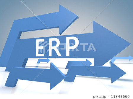 Enterprise Resource Planning Enterprise Resource Planning 11343660