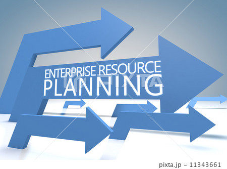 Enterprise Resource Planning Enterprise Resource Planning 11343661