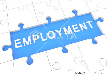 Employment Employment 11343675
