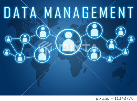 Data Management 11343776