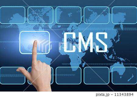 Content Management System 11343894