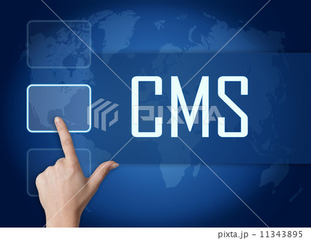 Content Management System Content Management System 11343895