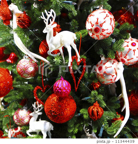 christmas tree close 11344439