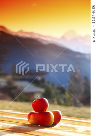 fresh apples fresh apples 11344686