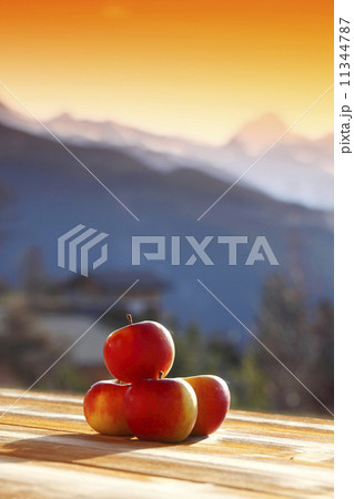fresh apples 11344787