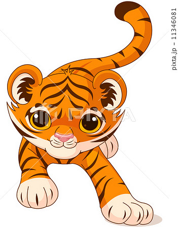 Crouching baby tiger Crouching baby tiger 11346081
