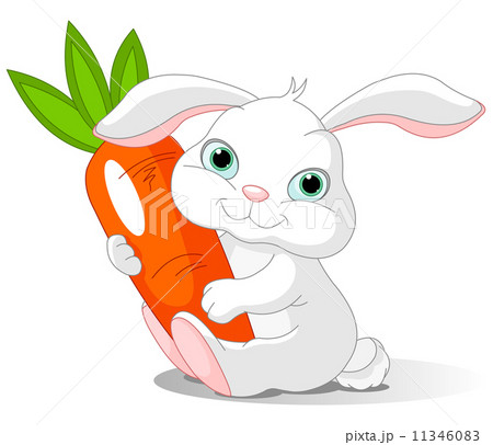 Rabbit holds giant carrot 11346083