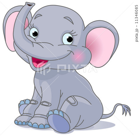 Baby elephant 11346085