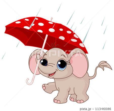 Cute baby elephant under umbrella Cute baby elephant under umbrella 11346086