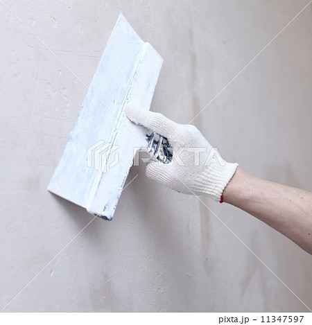 aligns wall 11347597