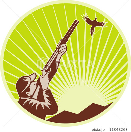 Hunter with shotgun  rifle aimng at pheasant 11348263