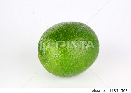lime lime 11354563
