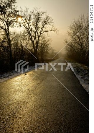 Long road 11354711