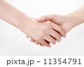 手の表情 11354791