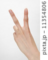 手の表情 11354806