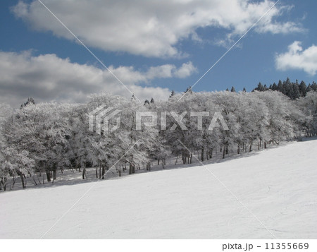 瑞穂ハイランドスキー場 樹氷の写真素材