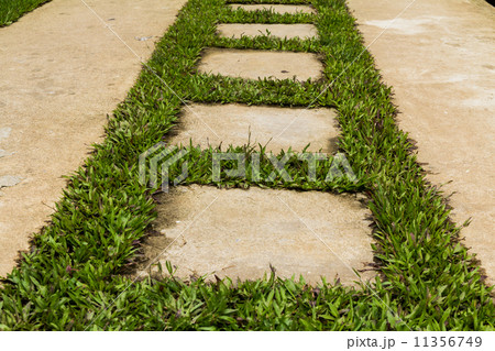 Stone pathway 11356749