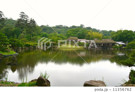 彦根城　玄宮園と彦根城天守 11356762