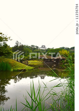 彦根城 玄宮園と彦根城天守 彦根城 玄宮園と彦根城天守 11356764