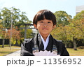 着物姿の男の子　横　 11356952