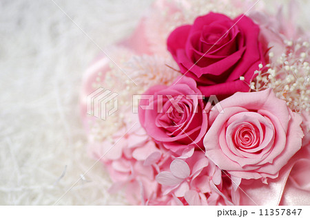 バラのプリザーブドフラワー　白緩衝材 11357847