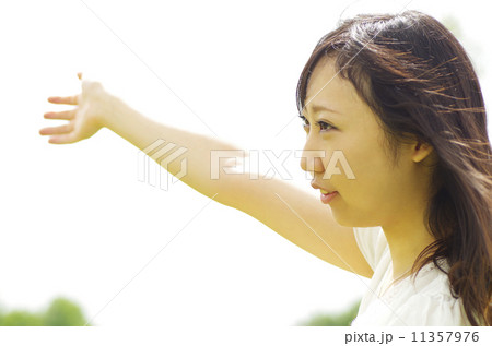 腕を広げる女性 ポジティブイメージ 腕を広げる女性 ポジティブイメージ 11357976