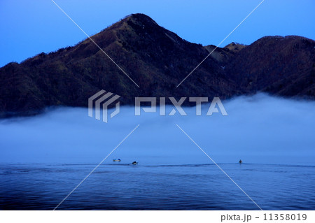 朝霧流れる中禅寺湖に浮かぶ釣り船 11358019