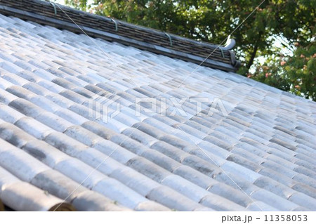 本瓦葺きの旧家 11358053