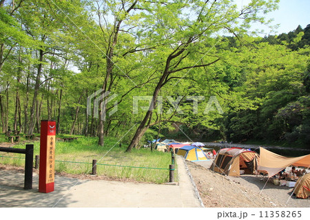 巾着田キャンプ場 11358265