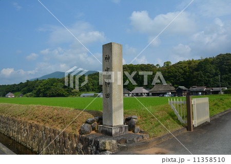 神宮神田 神宮神田 11358510