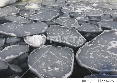 流氷のハス氷 11358775