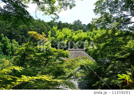 新緑の嵯峨野直指庵 新緑の嵯峨野直指庵 11359201