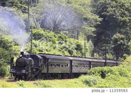 大井川鉄道ＳＬ 11359563