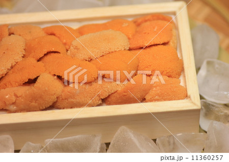 板箱入り生うにの盛り付け 11360257