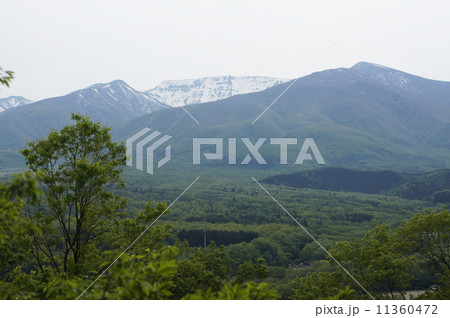 初夏の南蔵王展望 11360472