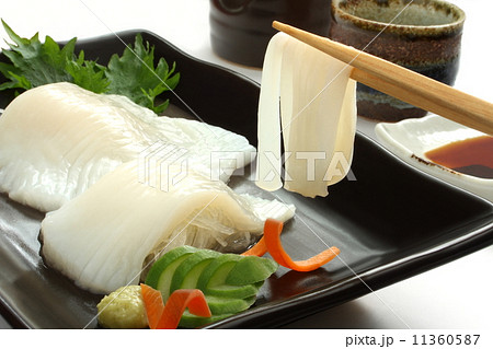 烏賊　刺身　造り　イカそうめん　箸上げ　和食 11360587