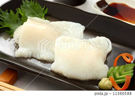 烏賊 刺身 造り イカそうめん 和食 烏賊 刺身 造り イカそうめん 和食 11360588