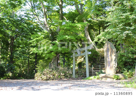 高尾山にて 高尾山にて 11360895